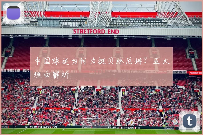 中国球迷为何力挺贝林厄姆？五大理由解析