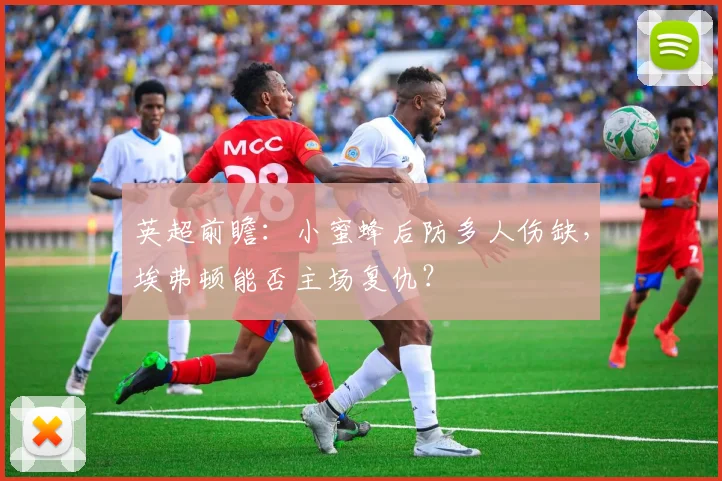 英超前瞻:小蜜蜂后防多人伤缺,埃弗顿能否主场复仇?